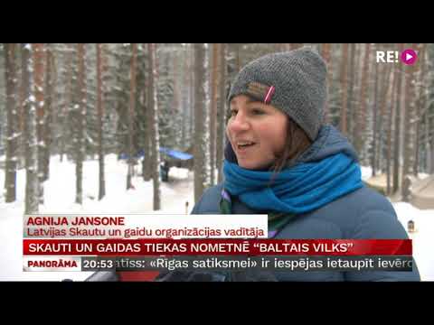 Skauti un gaidas tiekas nometnē “Baltais vilks”