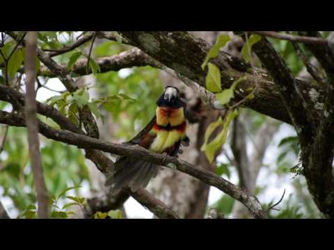 Costa Rica 2016 in UHD 4K Final