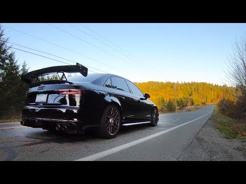 Audi A4 B9 | Armytrix Cat-Back Exhaust | 034motorsport Downpipe | APR Wing - Crazy Pops!