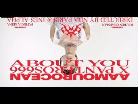 aamourocean & Panteros666 - About You (Reverse mode)