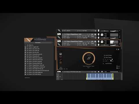 Berlin Woodwinds Revive Screencast Series - Chapter II: Flutes