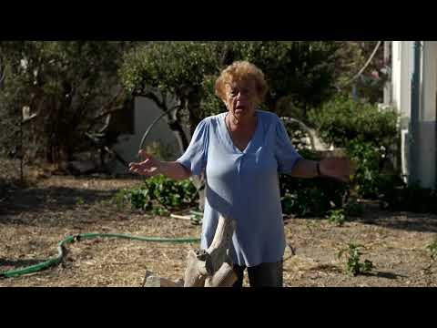 Video Thumbnail: Greek islands battle threat of drought