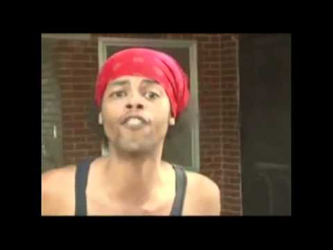 Bed Intruder to the Future