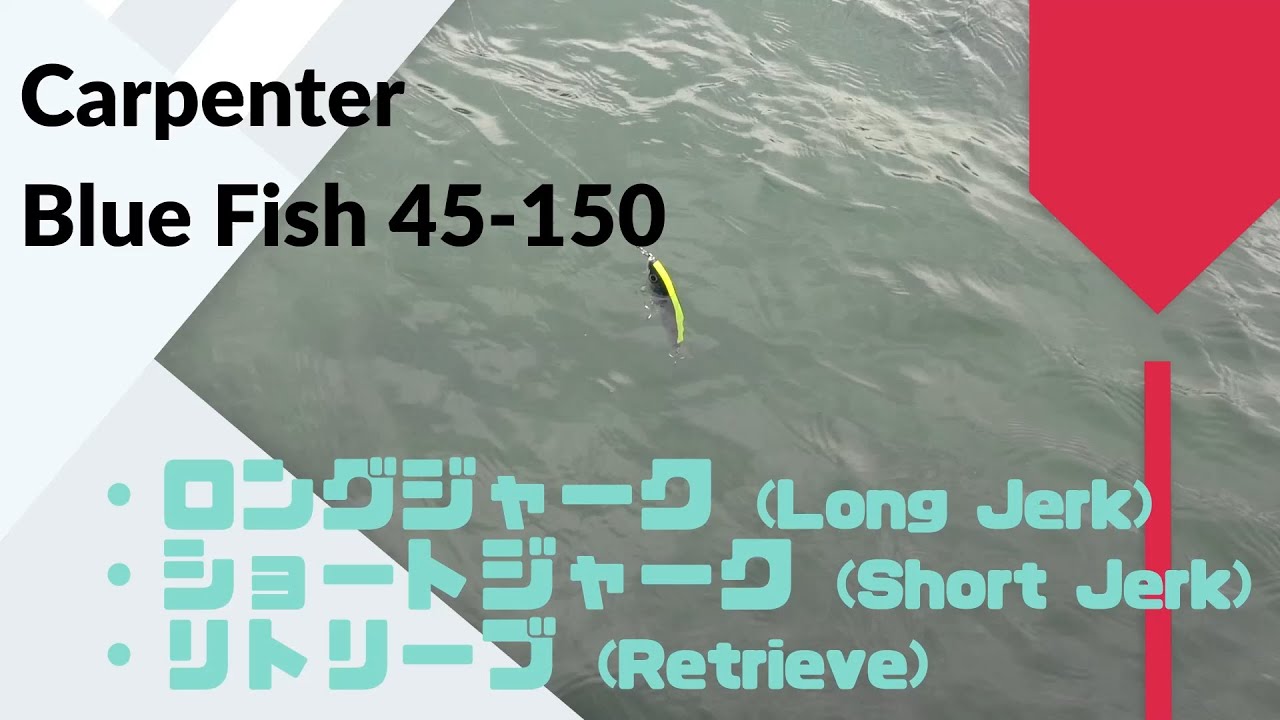 Carpenter(カーペンター) BlueFish(ブルーフィッシュ) 45-150 Carpenter(カーペンター) BlueFish(ブルーフィッシュ) 45-150