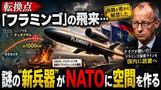 【転換点】「フラミンゴ」の飛来…西側が密かに解禁した”謎の新兵器”がNATOに空間を作る