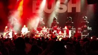 Bush Just Like My Other Sins & Machinehead