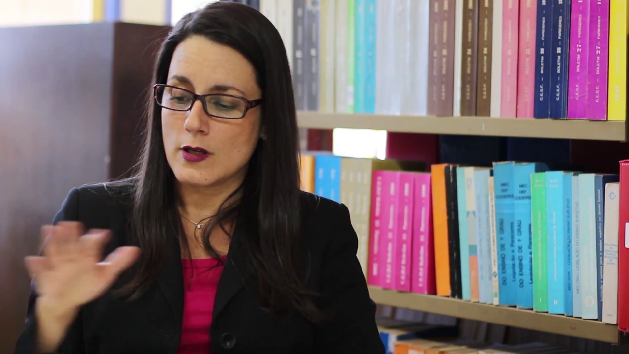 VIOLÊNCIA CONTRA MULHER - VALESKA ZANELLO