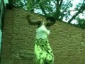 Joe Gwaladi Bisani Matenda