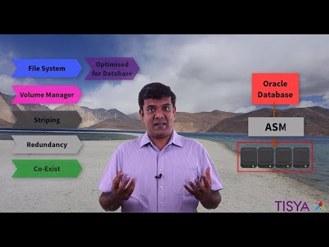 Why ASM - ASM Video 05