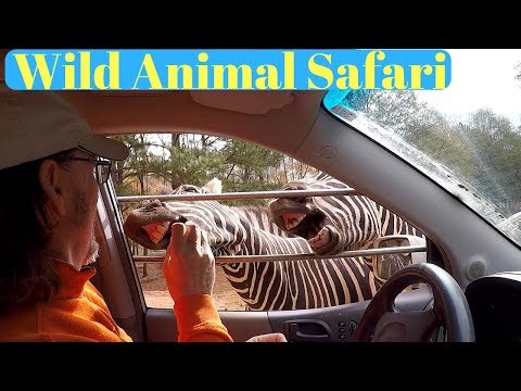 image-{{$article['question']}}