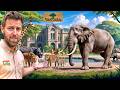 Private Tour Of World's Largest Animal Sanctuary DEFAULT Thumbnail