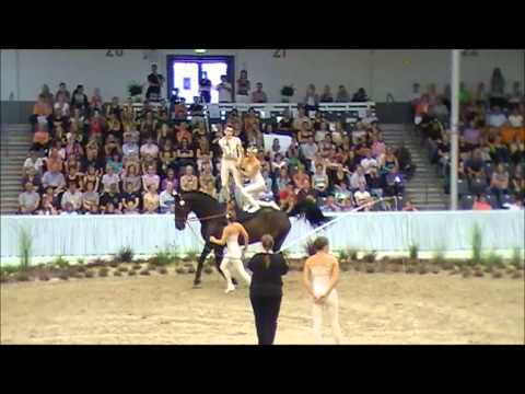 Juniorteam Hamburg DJMV Verden Finalkür