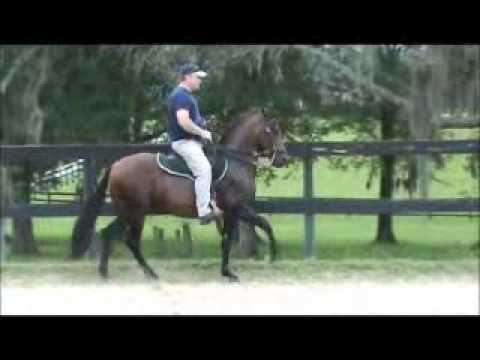 Geraldo del Seminole