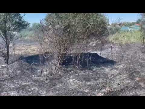 DOLJ: Incendiu de vegetație uscată în comuna Teasc