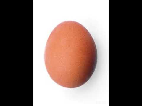 Интересные факты короткие. Яйко перевод. Смешные украинские слова спалахуйка. Яйко. Яйко перевод.