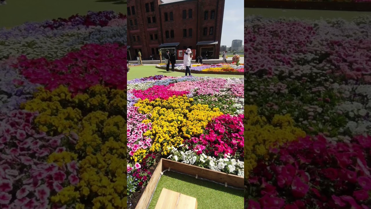 YouTube Short thumbnail