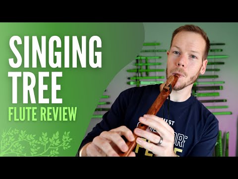 Singing Tree Flute Review | Is it Koa?
