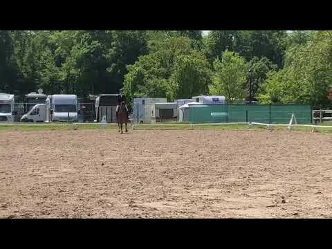 Sir Pik Wik de la Rose - Haras de Jardy 04/05/18
