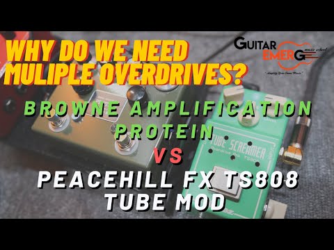 Browne Amplification Protein VS PeaceHill FX TS808 Mod (Why Do We Need Multiple Overdrive Pedals?)