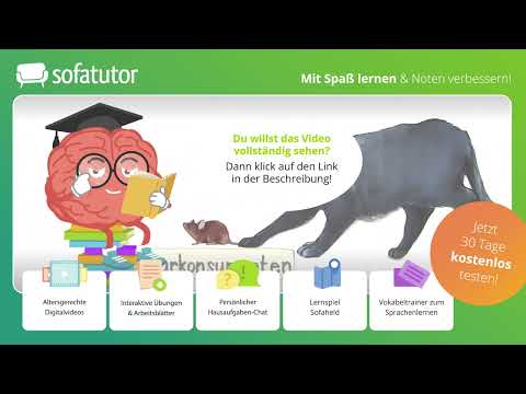 Nahrungsbeziehungen im Ökosystem – einfach erklärt