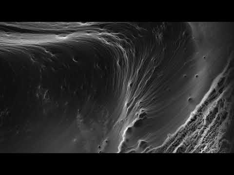 AN21, Silhouette, Kuaigon | Love's Not Over | Dawn Edit