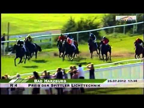 RaceBets com   Enjoy racing online   Horse betting 2