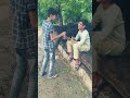 Funny Videos YouTube Shorts Ankit Patel Vlog Trending Short Ankit Patel Vlog