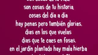 Cosas de la Vida   Porta letra mp4