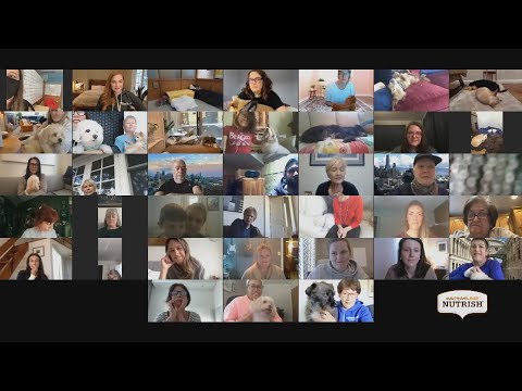 Rachael Shares Update On Muttville Senior Dog Rescue...