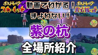 【ポケモンSV】「紫の杭」の全場所紹介 準伝説ポケモン解放