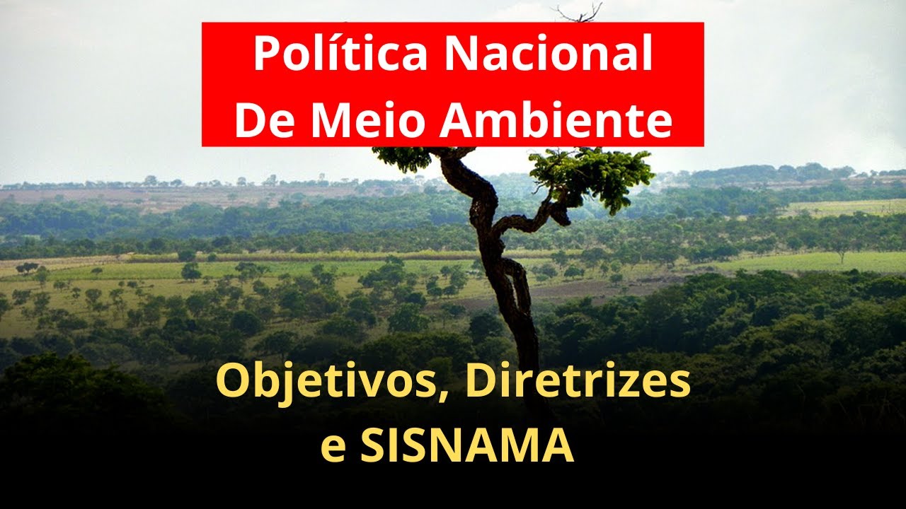 National Environmental Policy: Objectives, Guidelines and SISNAMA