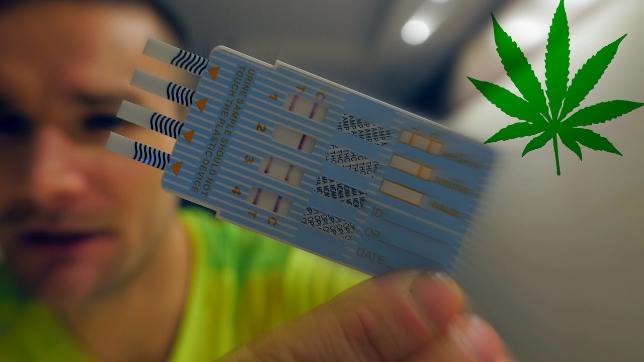 AdBuster - NARKONFRONTACJA! (18+)