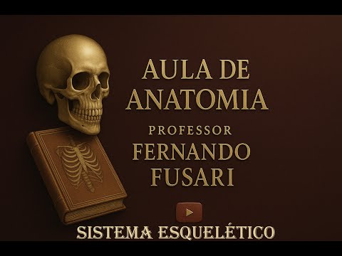 Sistema Esquelético - Generalidades