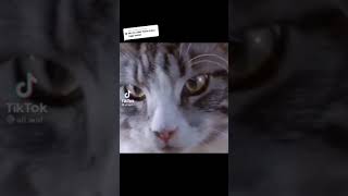 Download lagu Story Wa 30 detik 'Tidur lah mp3 Download lagu Story Wa 30 detik 'Tidur lah mp3