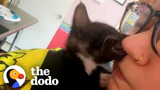 Two Premie Kittens Save Rescuer Who Suffered A Stroke | The Dodo Heroes by The Dodo