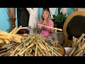 Eating Homegrown Sugarcane