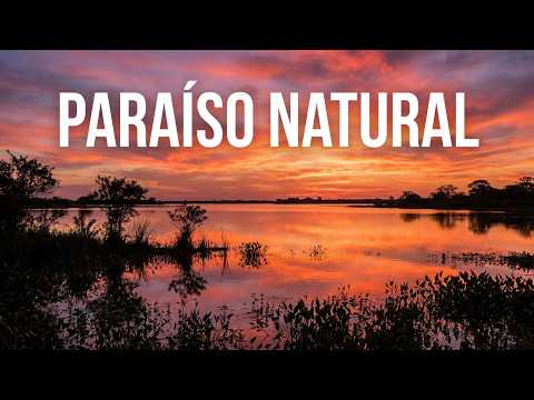 "¿Sabías que esto está en Corrientes? La impresionante Laguna Iberá Parque Nacional Iberá mayo 2026