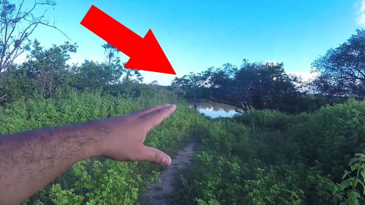 FILMEI ALGO BIZARRO EM LAGO ASSOMBRADO