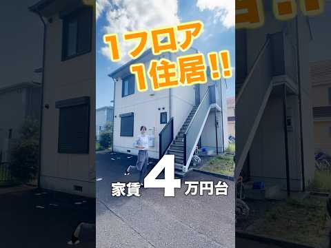 アパート用 10 匹