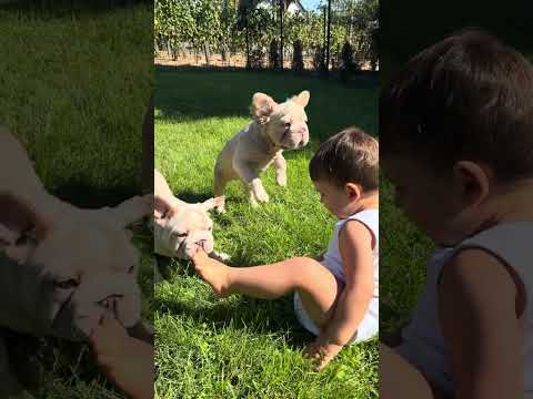 Video 1