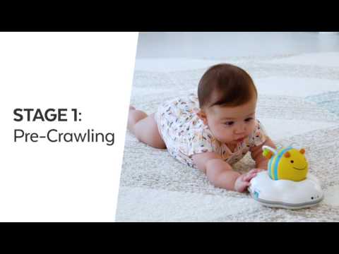 Explore & More Follow-Bee Baby Crawl Toy, image 2 of 10 slides