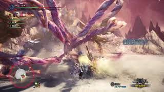 【MHWIB/PS4】久々に色々練習します！