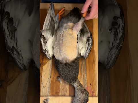 Wild Duck Catch & Cook!  #healthy #food #love #shorts #explore