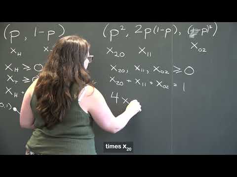What is algebraic statistics?