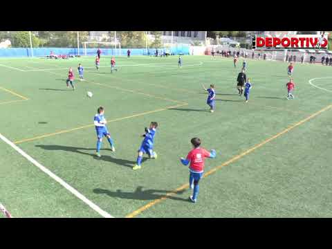 BENJAMIN CALVARI  -  PEDREGUER 16- 11- 19