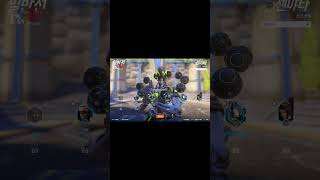 젠야타의 꿈(문어의 꿈)