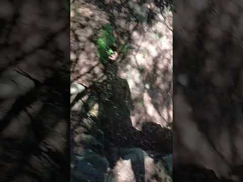 paseo en alpa corral córdoba