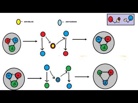 Strong Force || Quarks || Gluons ||Color||Confinement||Asymptotic freedom||Fundamental force