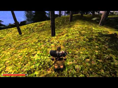 Lets play Gothic 2 + die Sekte -068- Goblin Klassen und andere Monster