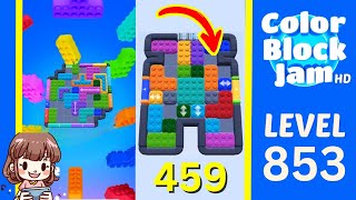 Color Block Jam 第 853 关攻略